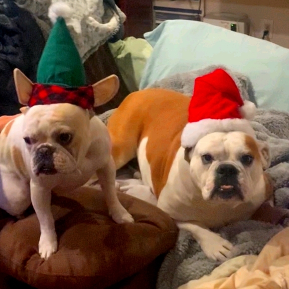 Meet your Posher, DesigningRia - Picture 4 of 11